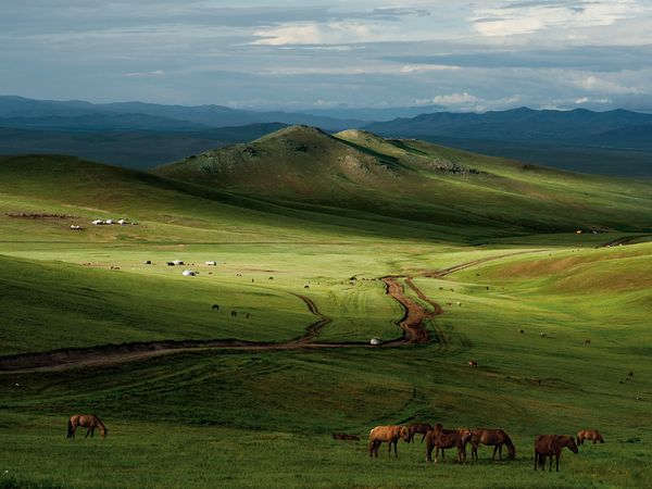 cai mongolia