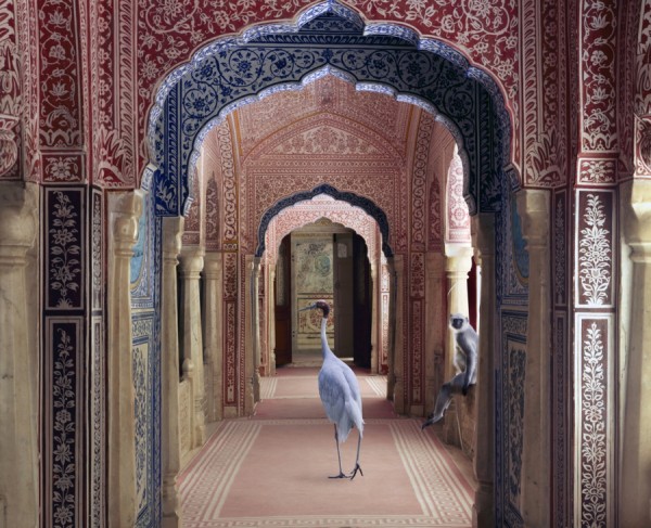 INDIA SONG