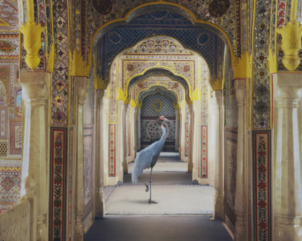 INDIA SONG