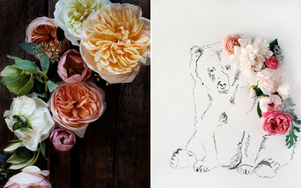ilustratii kari herer