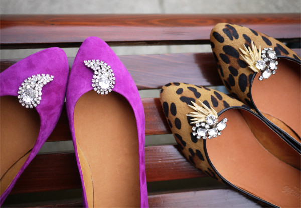 accesoriu pantofi