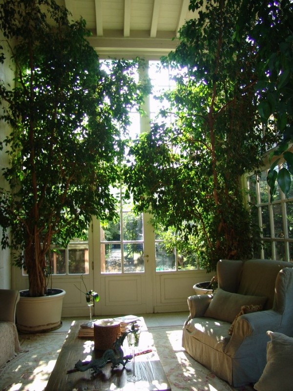 indoor garden