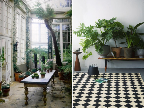 indoor garden