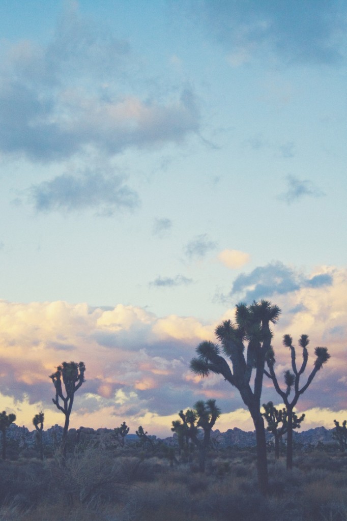 calatorie in desert