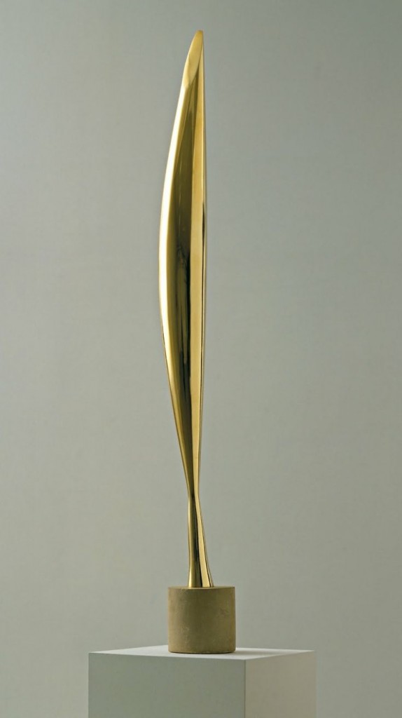 pasarea in vazduh brancusi