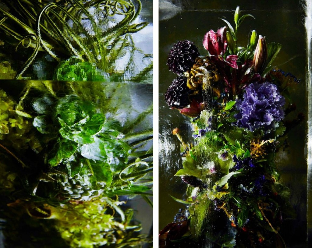 iced-flowers-makoto-azuma-9