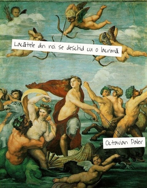 citate  octavian paler