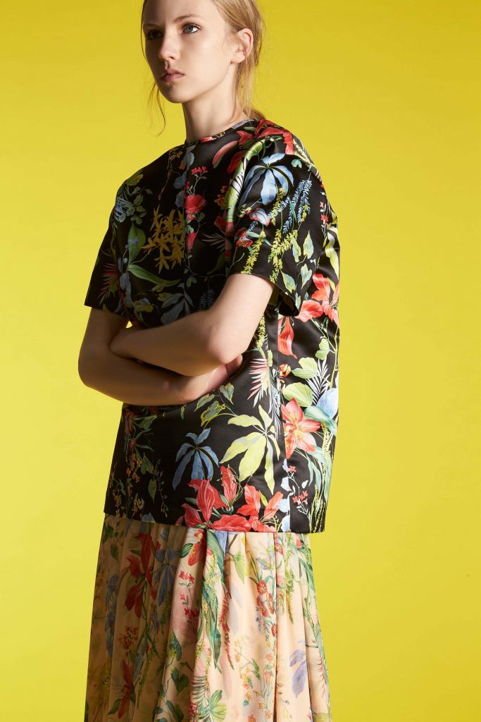 rochas6