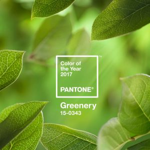 Institutul de culoare PANTONE a decis: Greenery este noua culoare a anului 2017