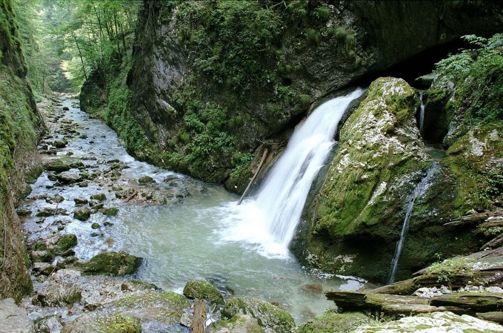 Valea Galbenei