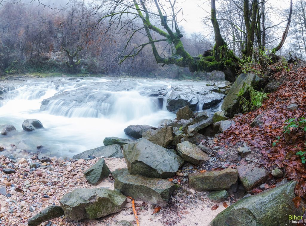 Valea Boga
