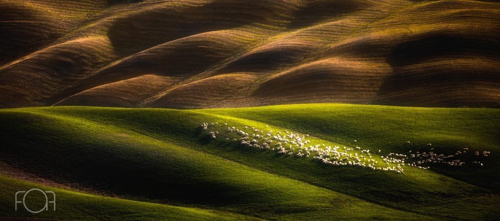 PRIMA EDIȚIE A CONCURSULUI FOTOGRAFUL ANULUI ÎN ROMÂNIA
